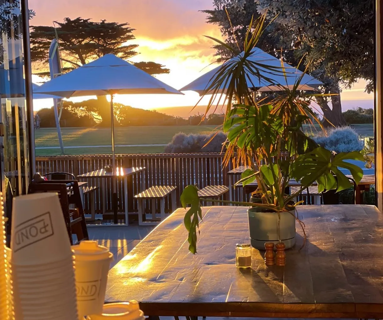 melbourne tours great ocean road