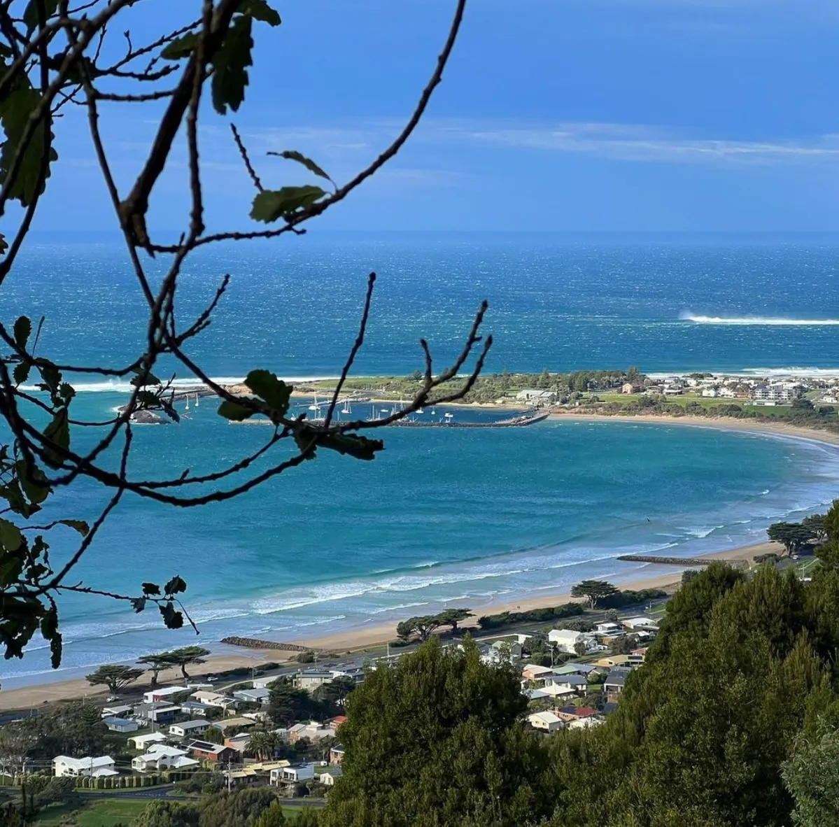 great ocean road tour cheapest