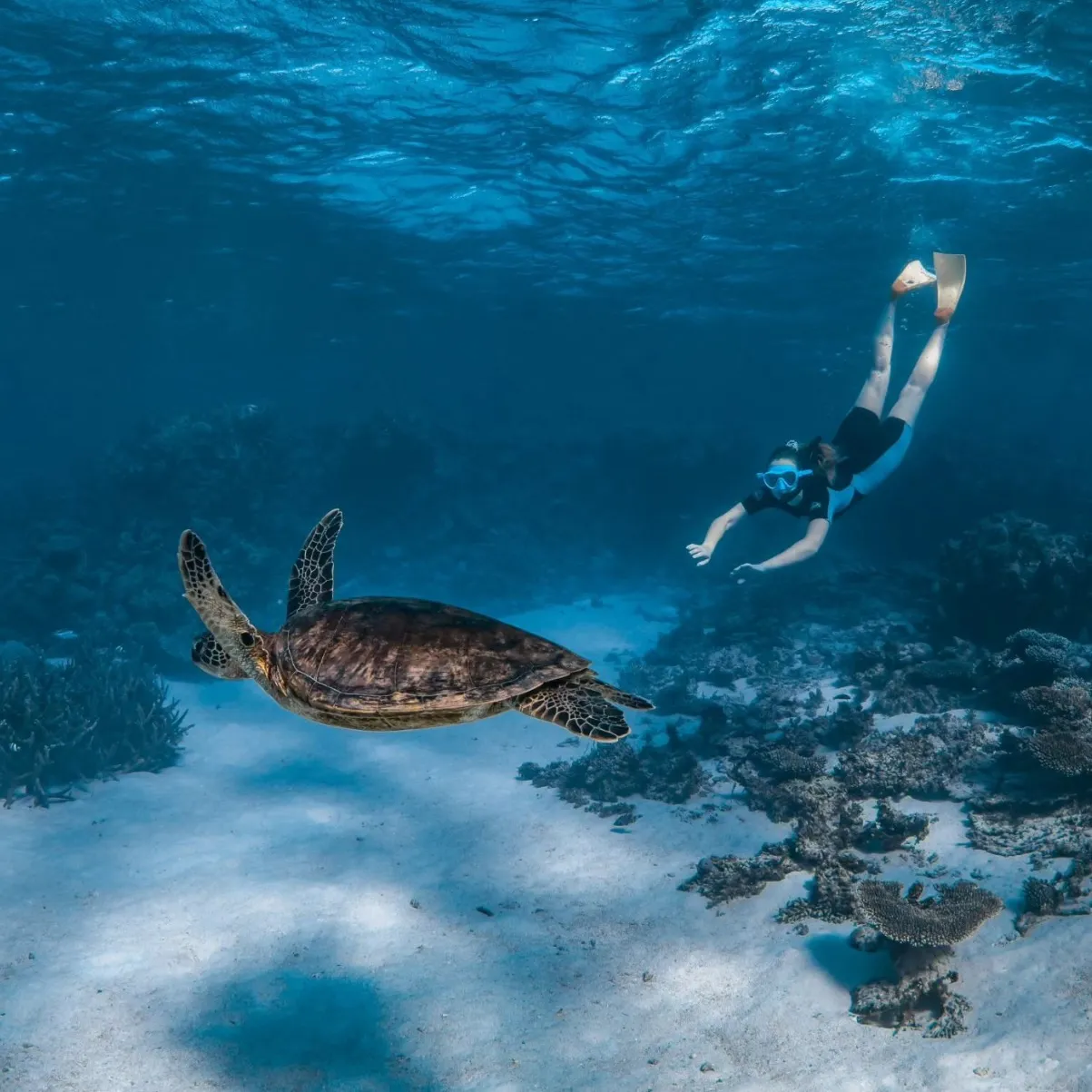 Ningaloo Reef, Magic happens at the sunrise and sunset