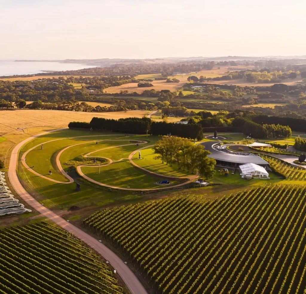 Exploring Melbourne’s Wine Regions