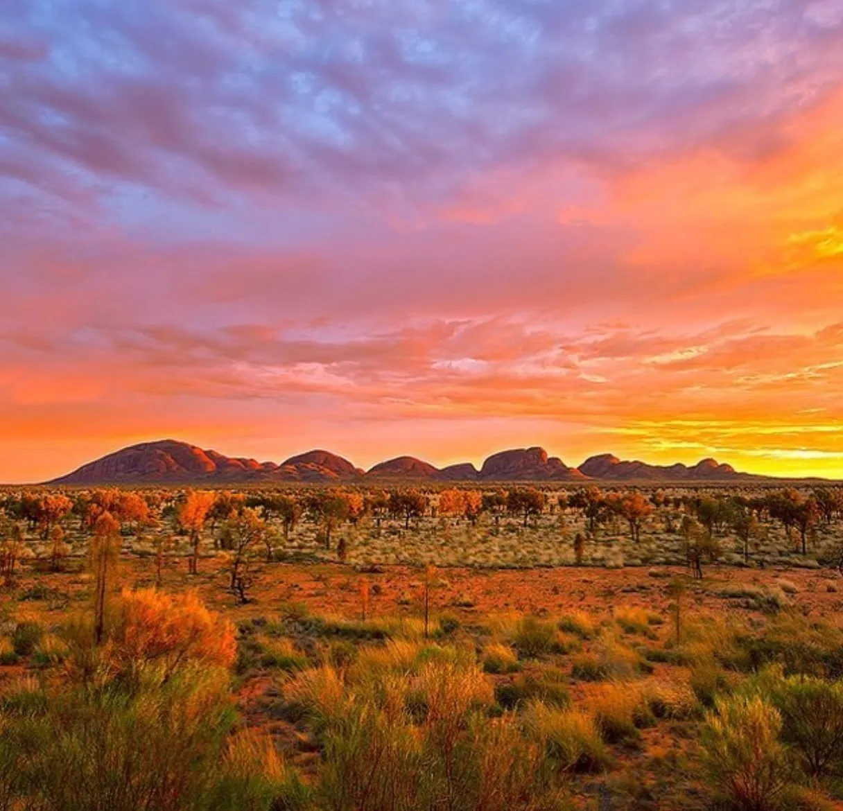 Kata Tjuta