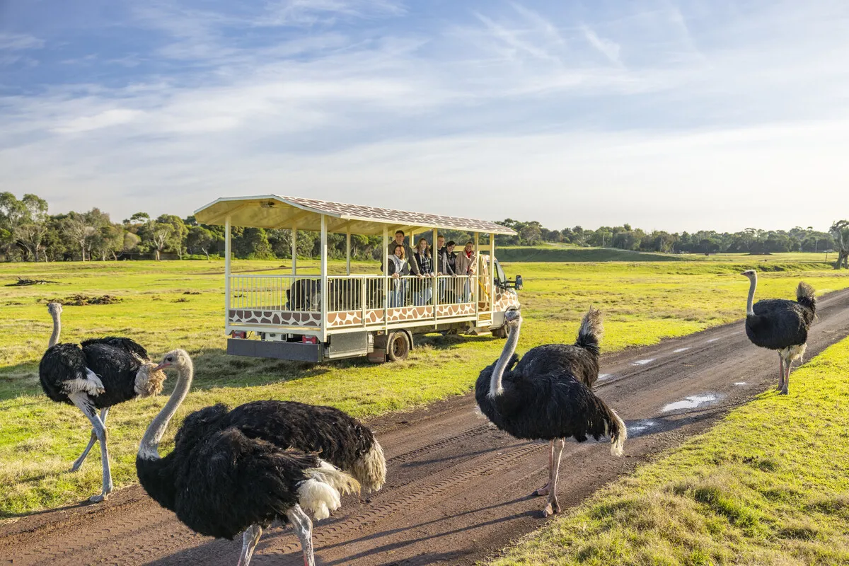 Melbourne Zoo