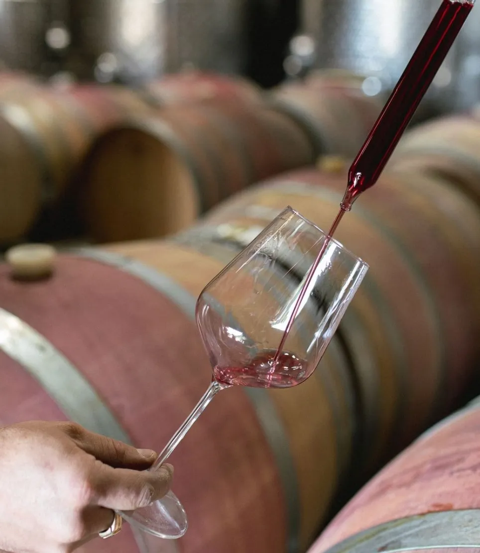 Mornington Peninsula Wine Region