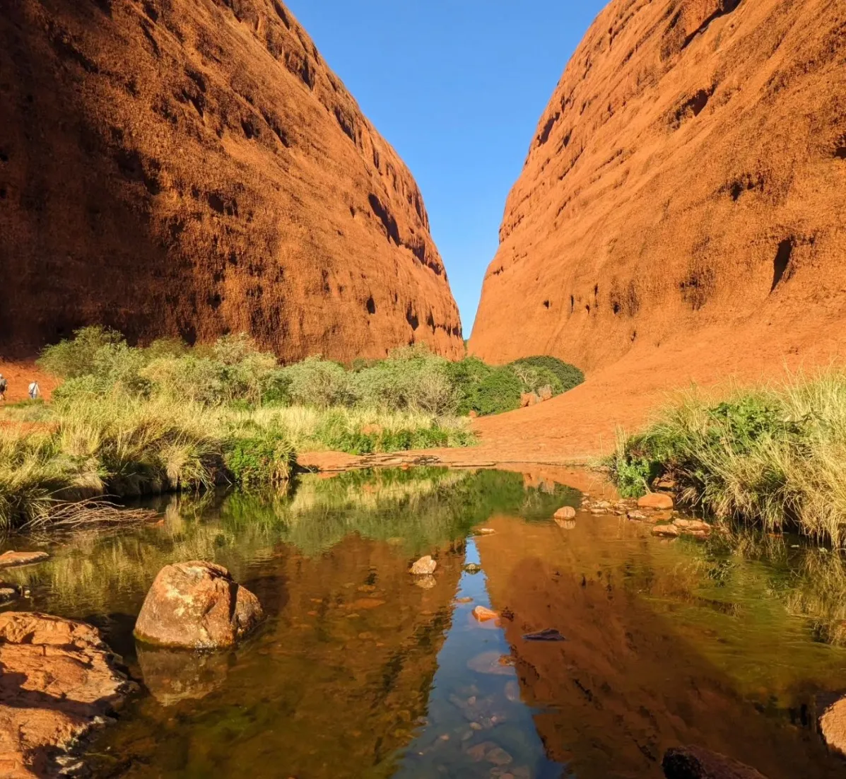 Walpa Gorge