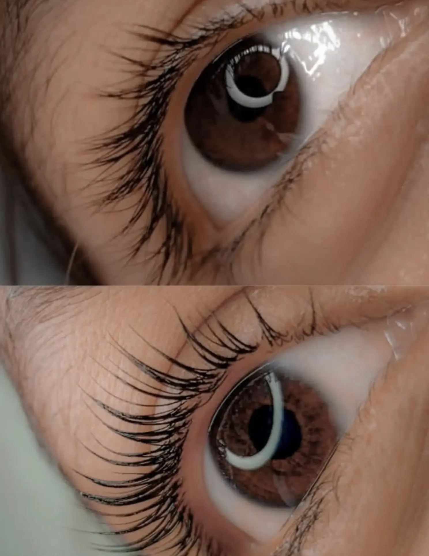 Lash Tech Brisbane