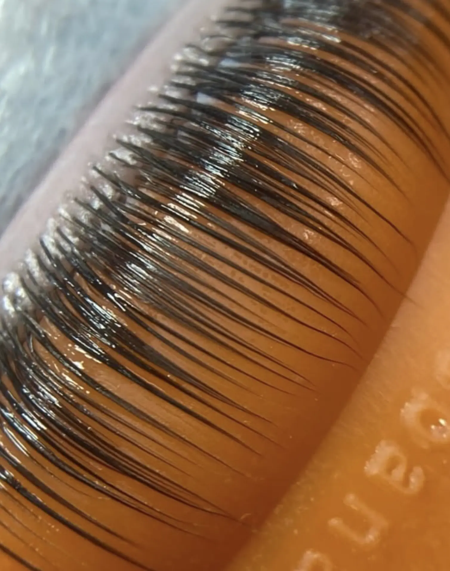 Lash extension course