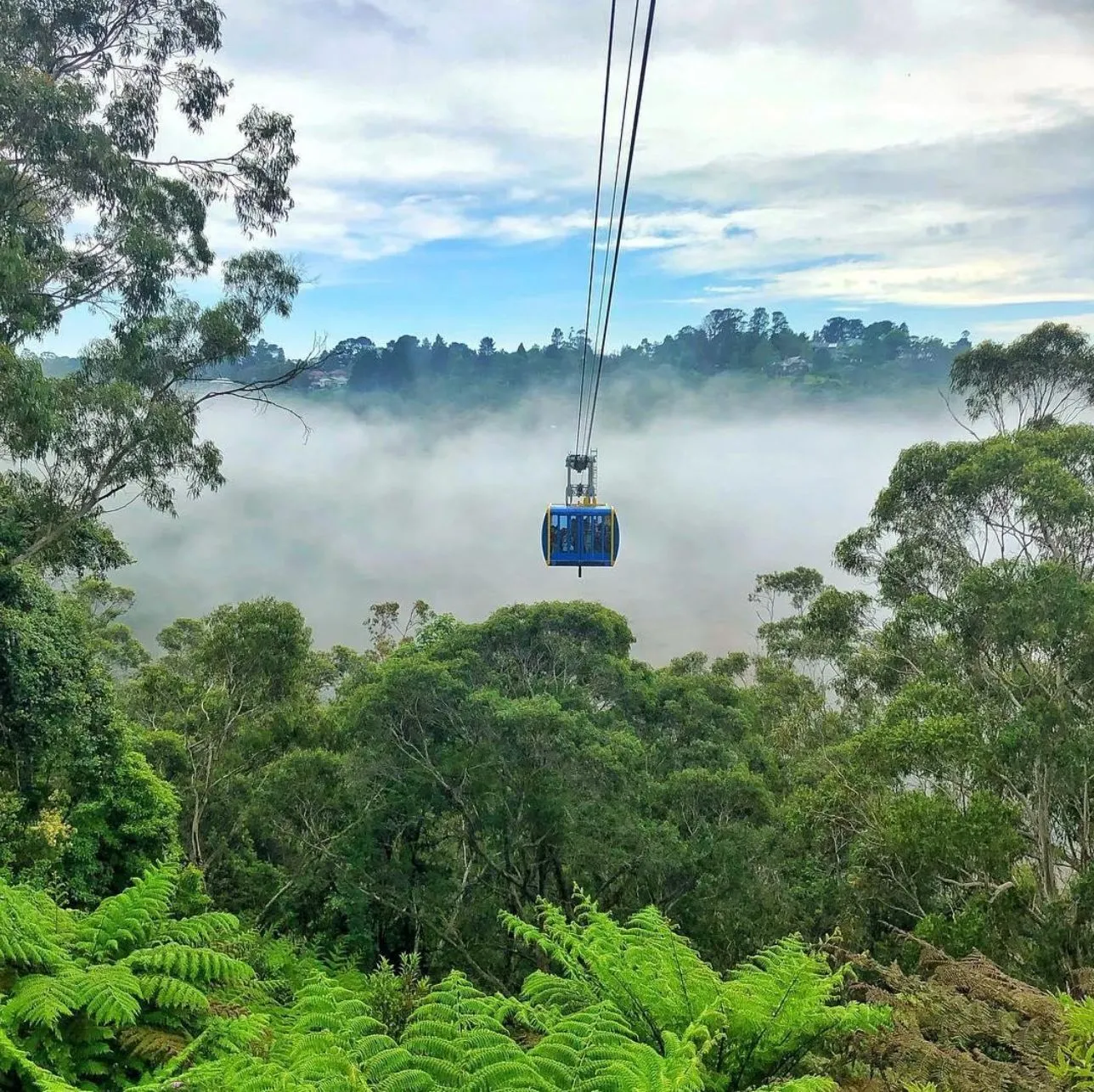 Blue Mountains tours