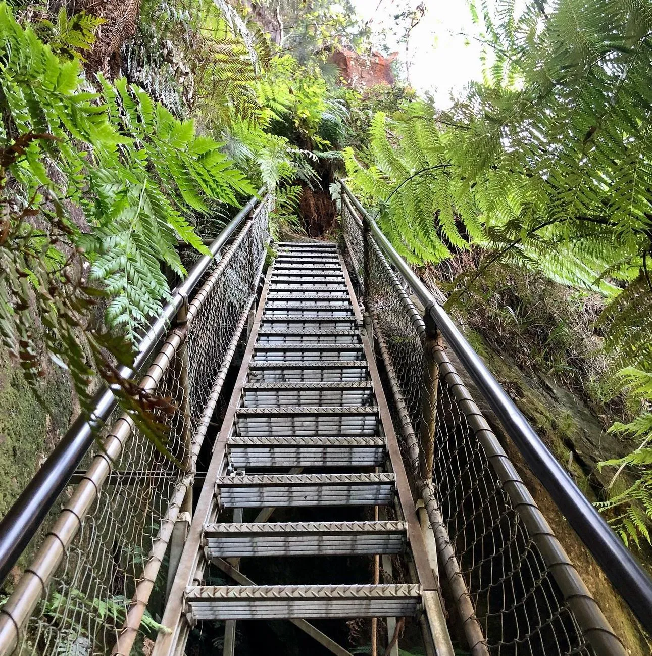 Giant Stairway