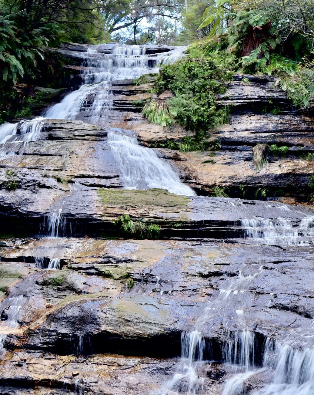 Katoomba Falls