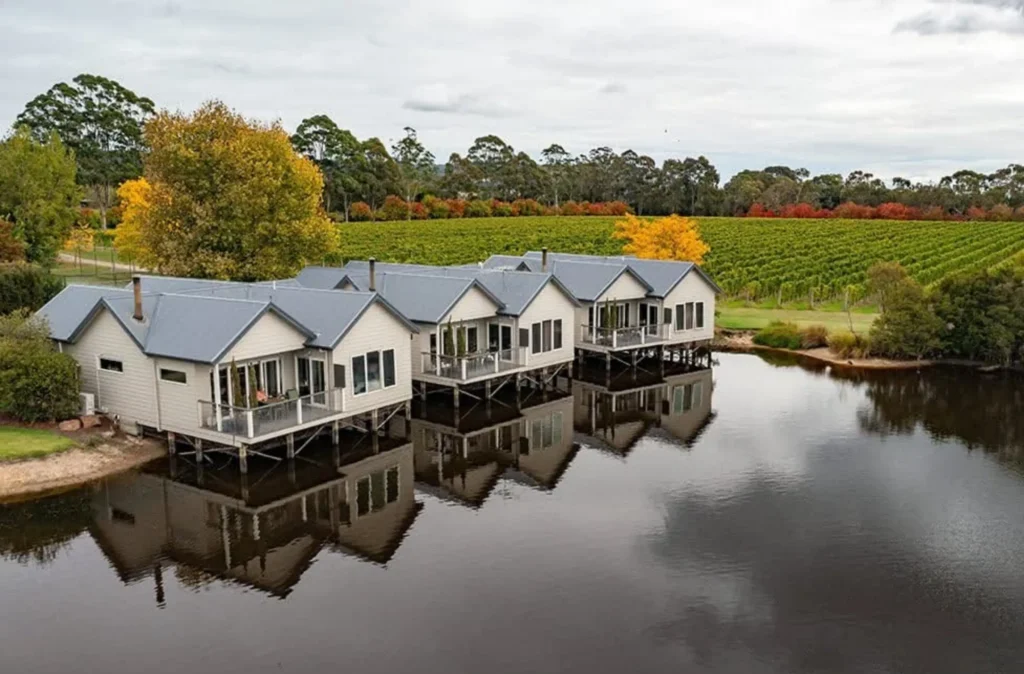 Yarra Valley wine tours for beginners
