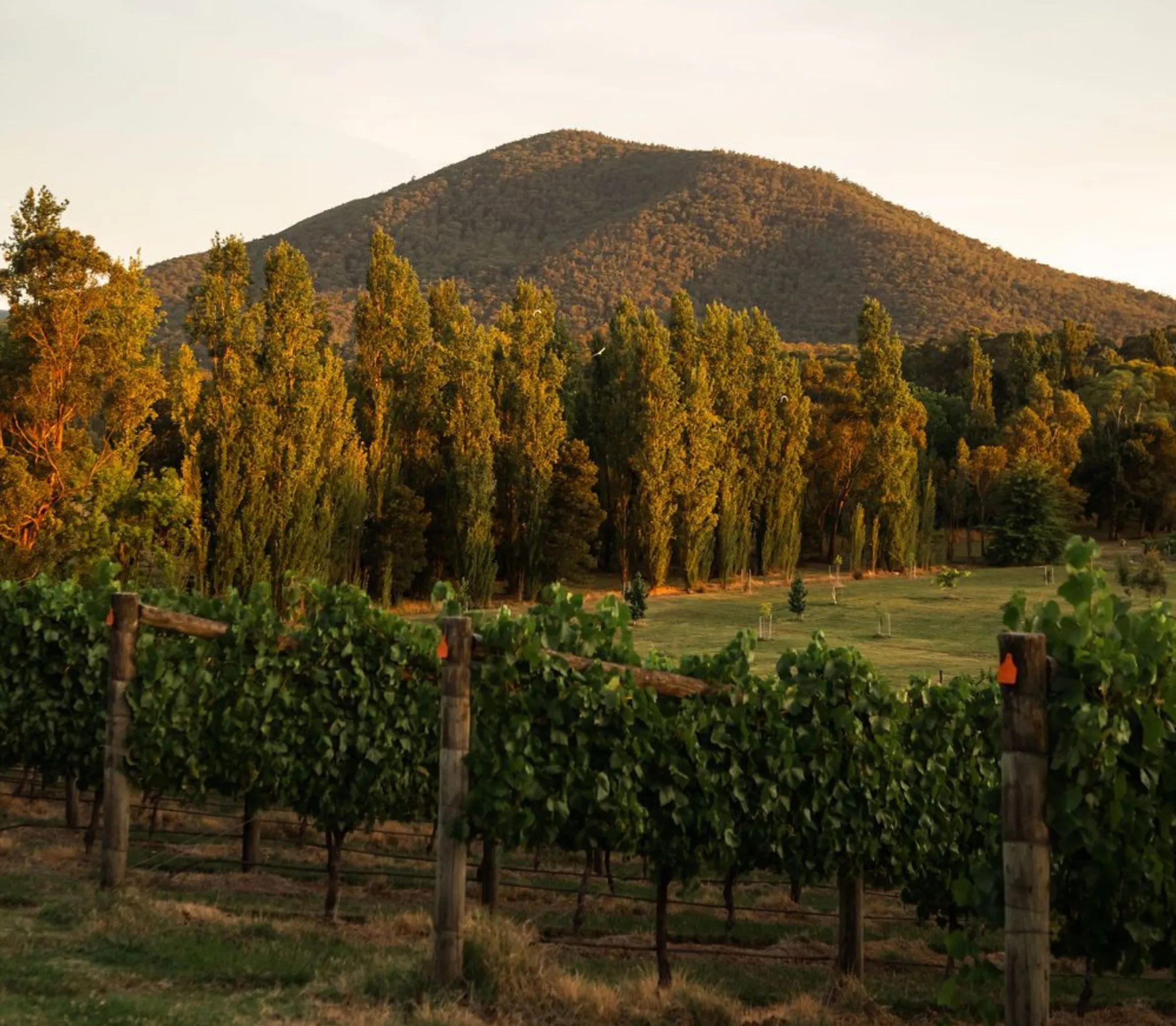 best base for Yarra Valley wine tasting