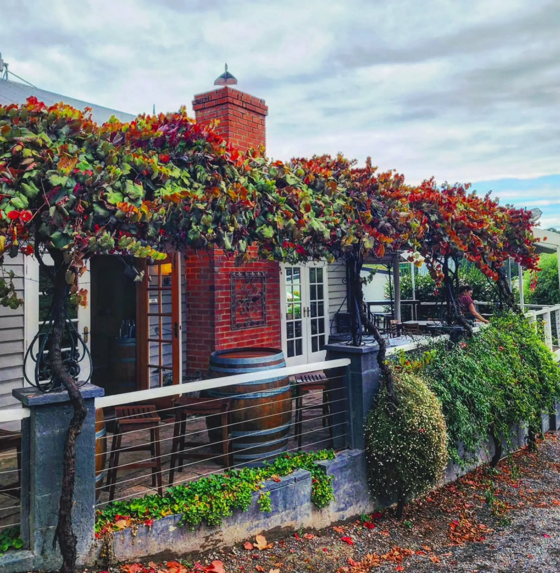 quiet Yarra Valley wineries