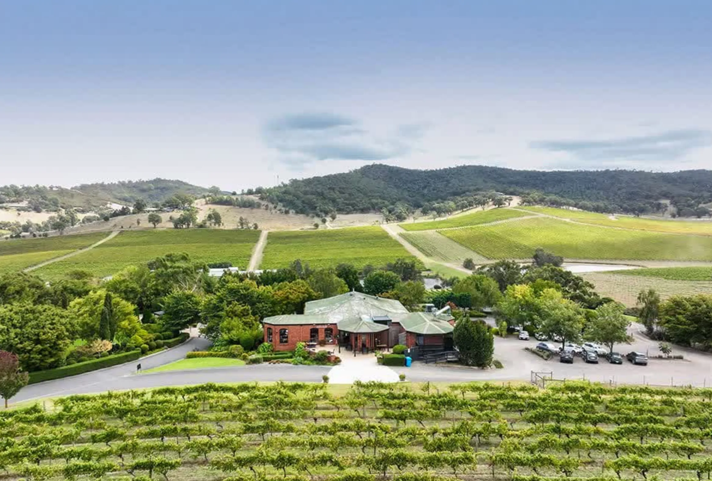 relaxed cellar doors near Melbourne