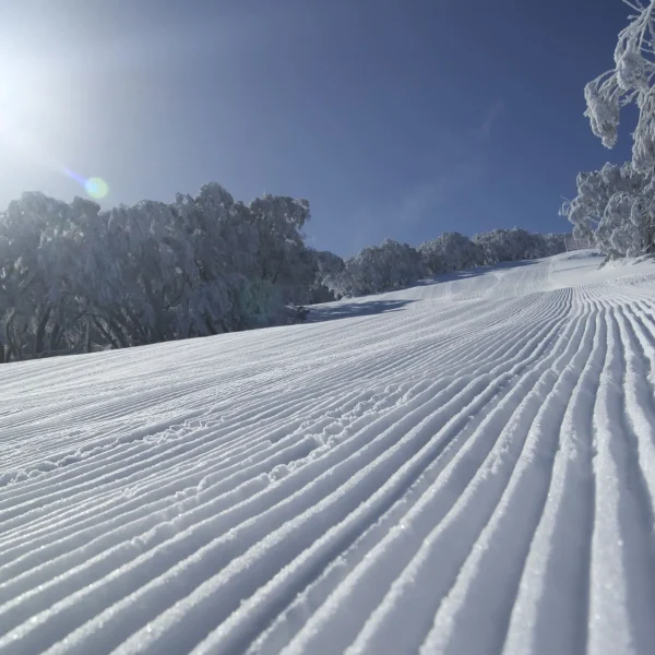 snow tours from melbourne