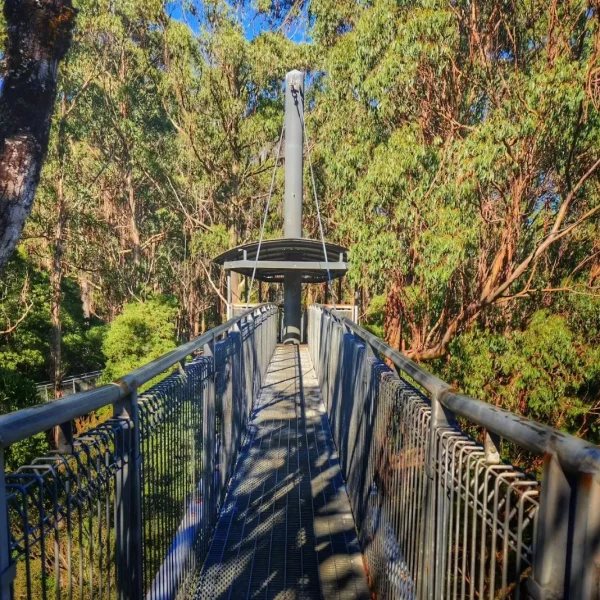 day trip to great ocean road