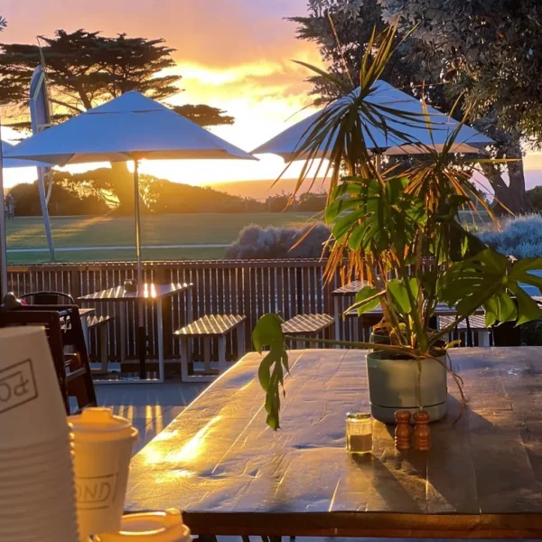 melbourne tours great ocean road