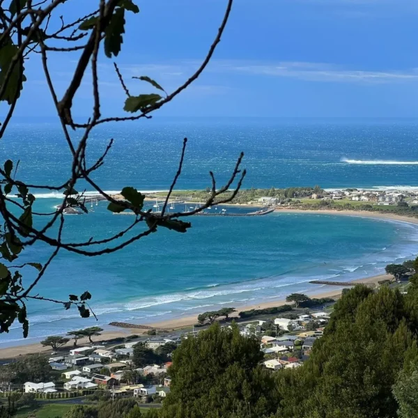 great ocean road tour cheapest