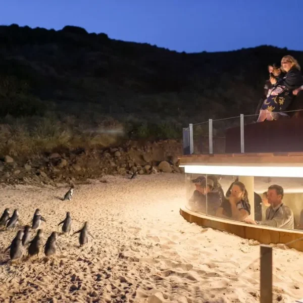 phillip island day trip